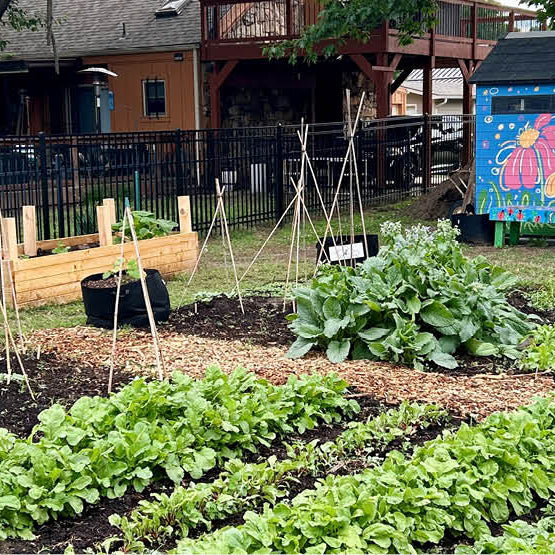 Volunteer Spotlight: Laura Shank