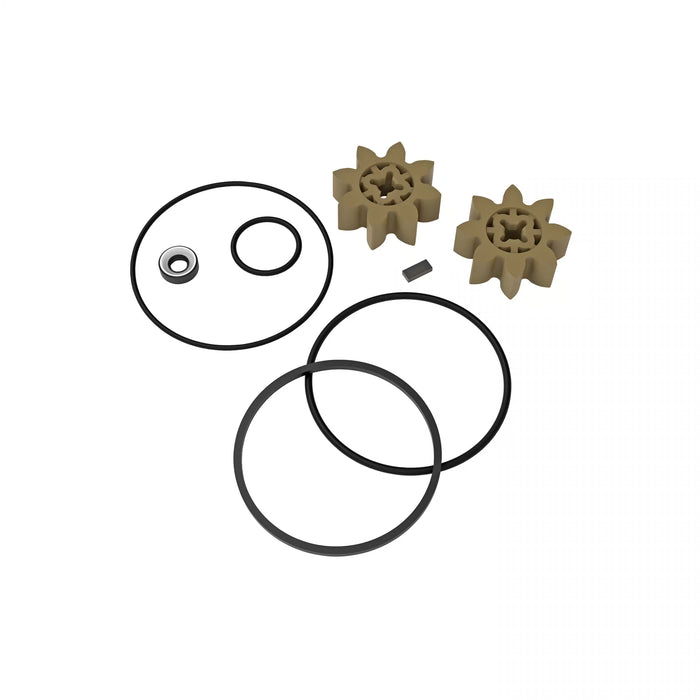 P-120H & PA-120H Chemical Transfer Pump Rebuild Kit