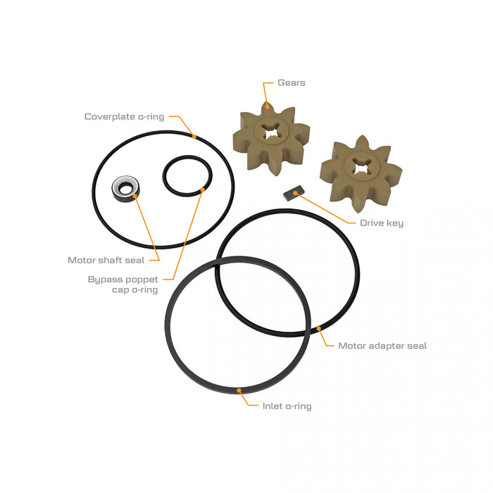 P-200 & PA-200 Transfer Pump Rebuild Kit