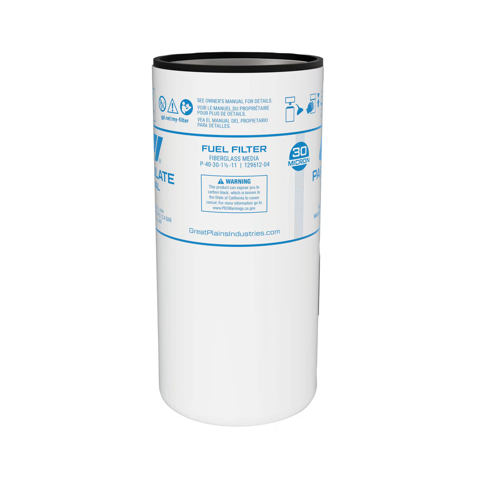 Thank you！ GPI 30 Micron Particulate Filter for 40 GPM Fuel Pumps — GREAT