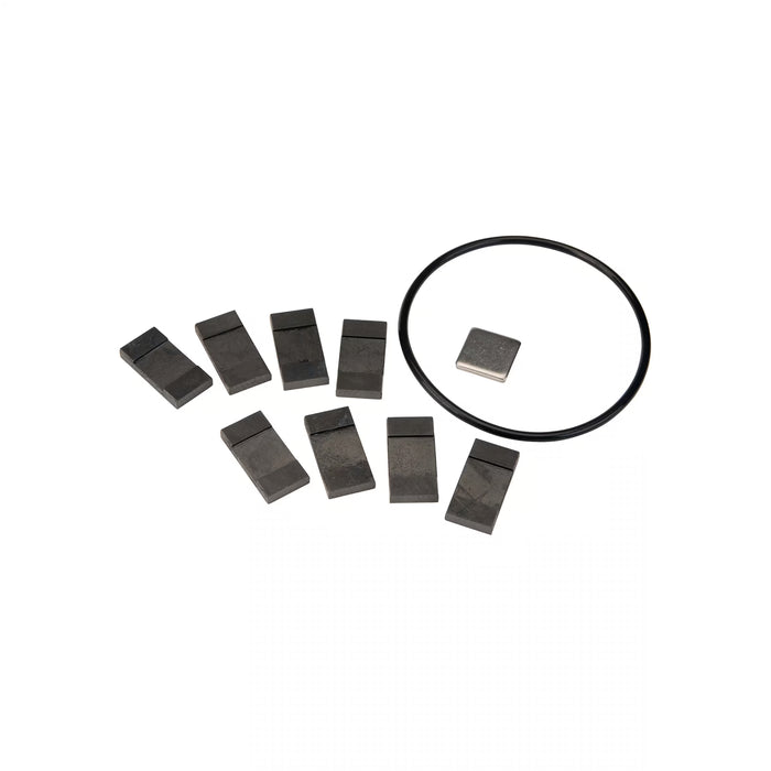 PRO20 Series Fuel Transfer Pump Rebuild Kit