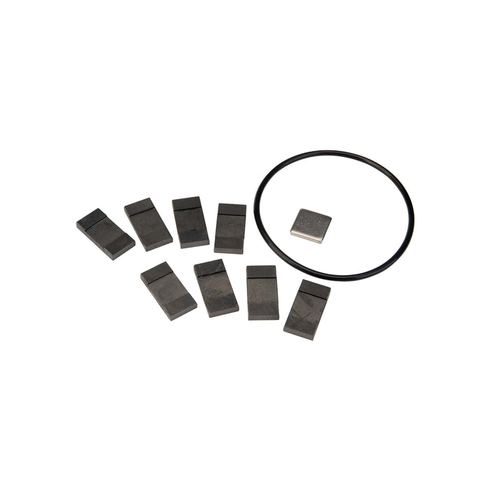 Replacement Carbon Vanes Kit for GPRO Series Fuel Transfer Pump