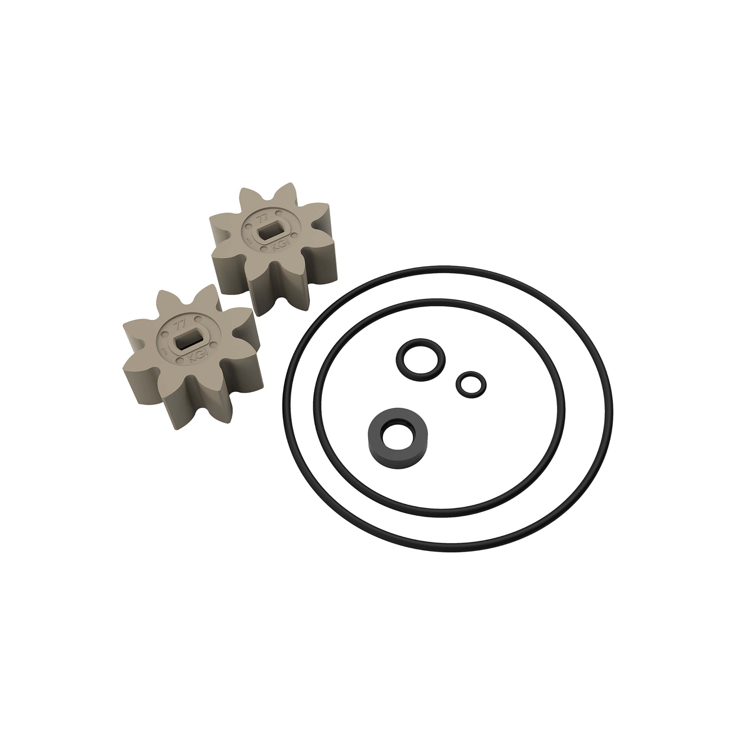 EZ-8 Fuel Transfer Pumps Rebuild Kit