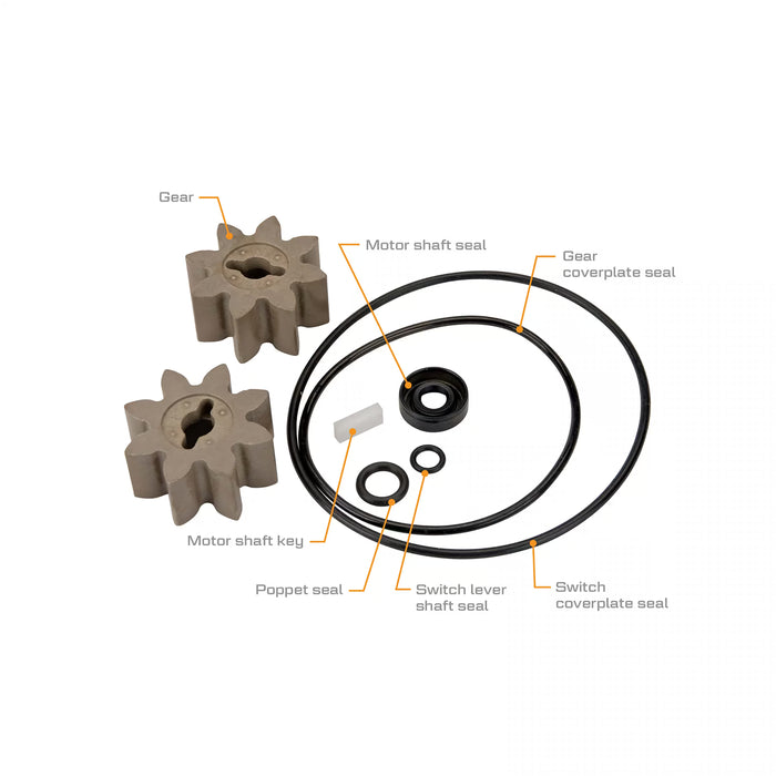 EZ-8 Fuel Transfer Pumps Rebuild Kit