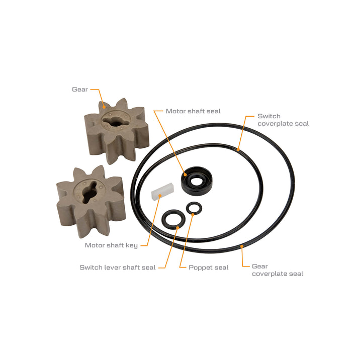 Overhaul Kit for EZ-8 Fuel Transfer Pump, Mfg before 2016