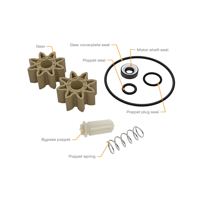 Complete Overhaul Kit for G8P Portable Fuel Transfer Pump