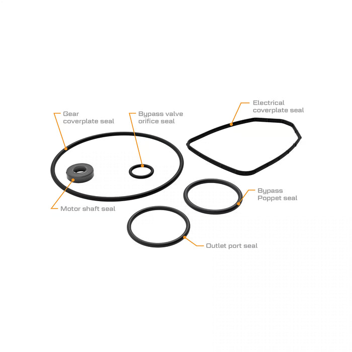 G20 Fuel Transfer Pumps Seal Kit
