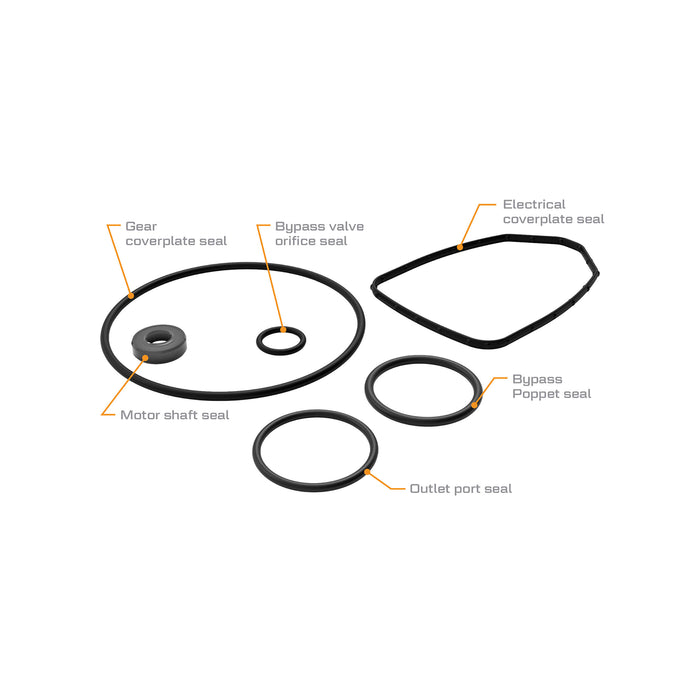 Replacement Seal Kit for G20 Fuel Transfer Pumps