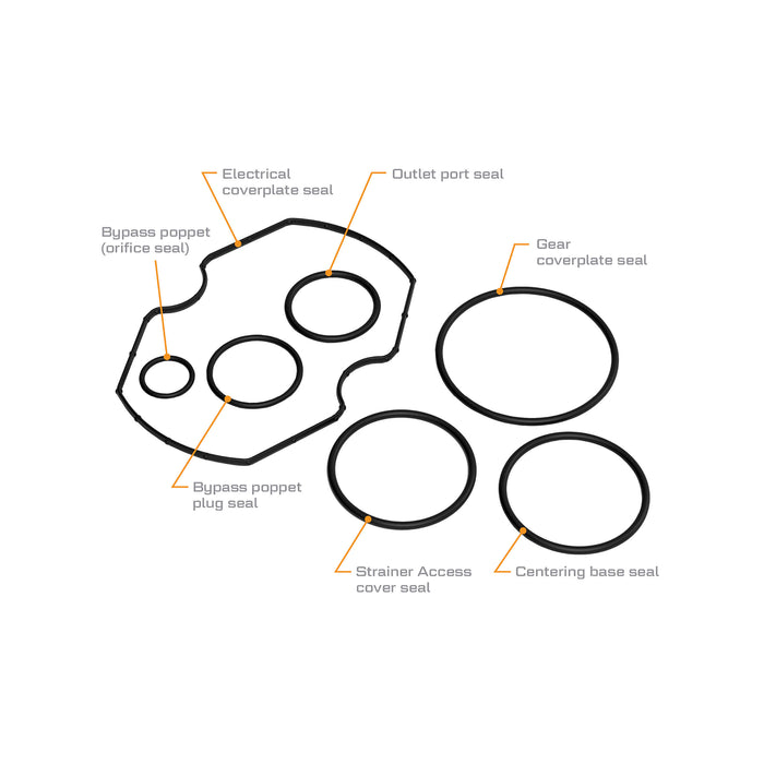 Replacement Seal Kit for V25 Fuel Transfer Pumps