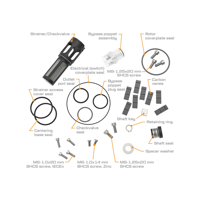 V20 Pump End Rebuild Kit