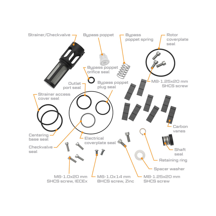 V35 Pump End Rebuild Kit