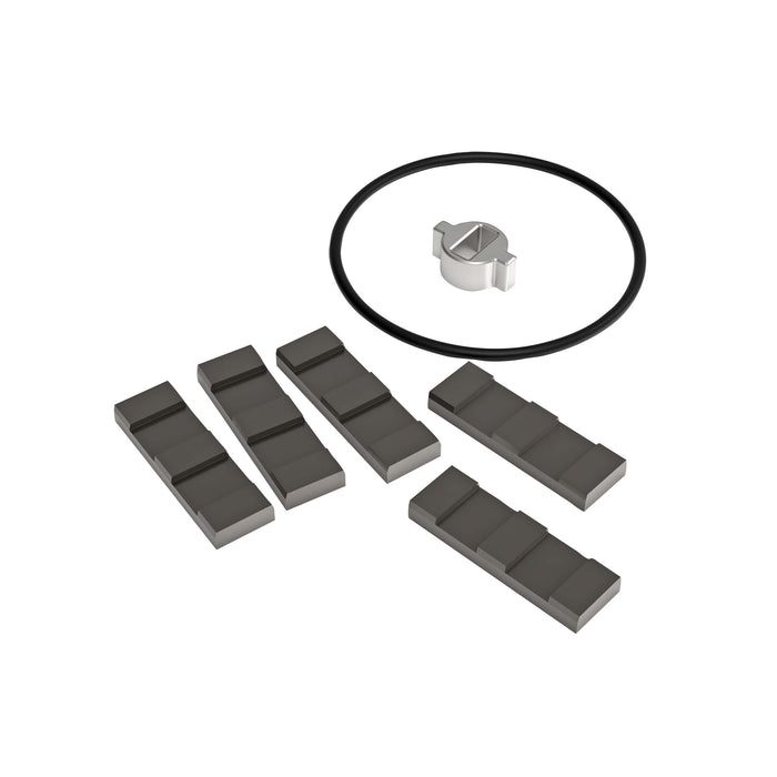 Replacement Carbon Vanes Kit for PRO20-012 Fuel Transfer Pumps