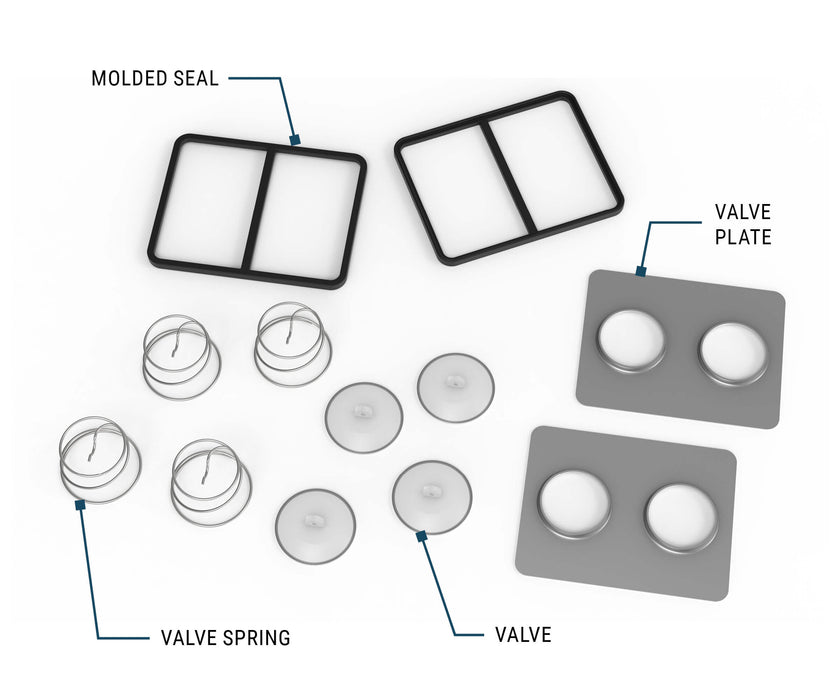 GPI Check Valve and gasket kit for HP-100 Hand Pumps - molded seal, valve plate, valve, and valve springs