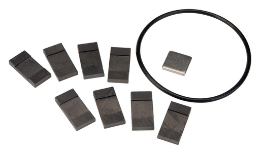 GPI Replacement carbon vanes kit for GPRO Pro20 series pumps