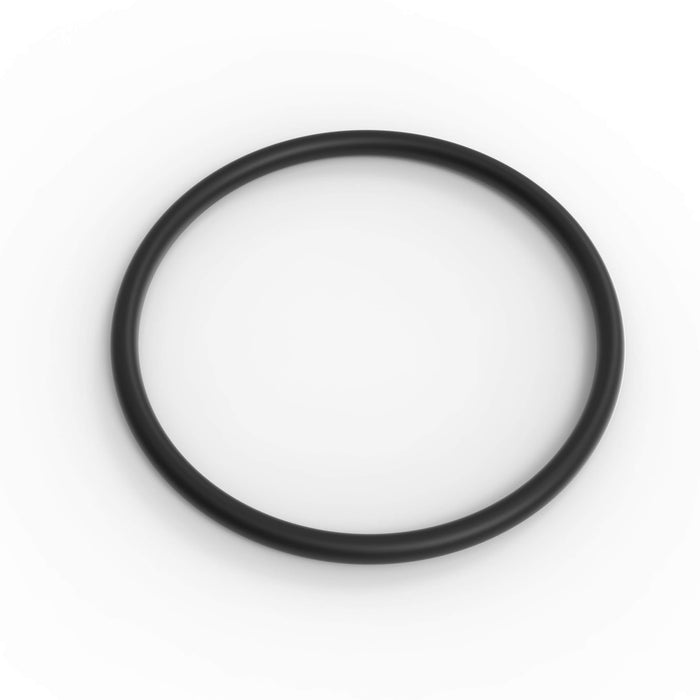 FLOMEC Viton O-ring for 1-inch PVDF G2 Series